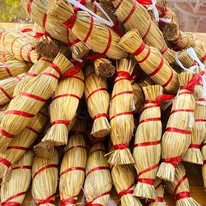 Tre rom binh dinh dac san 2 mua - Nem Chua Gia Lai